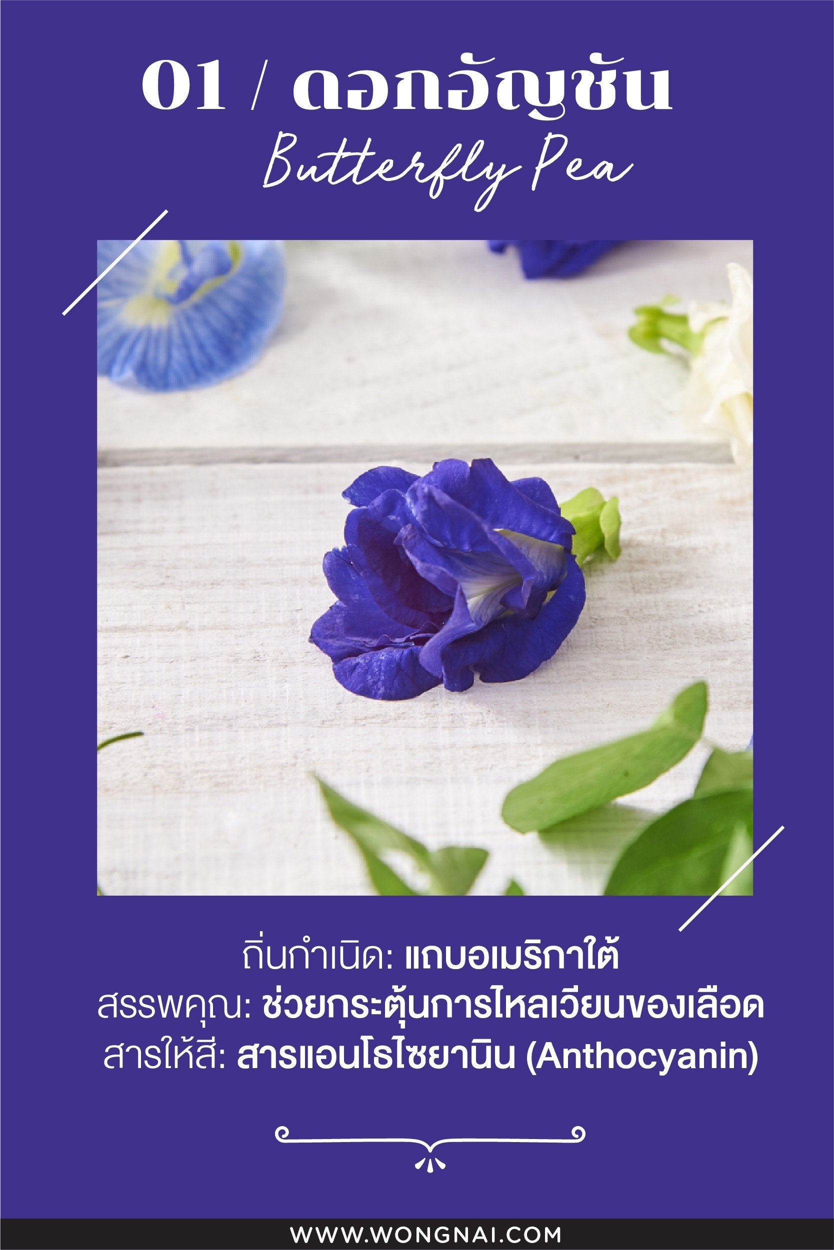 ประโยชน์ของอัญชัน