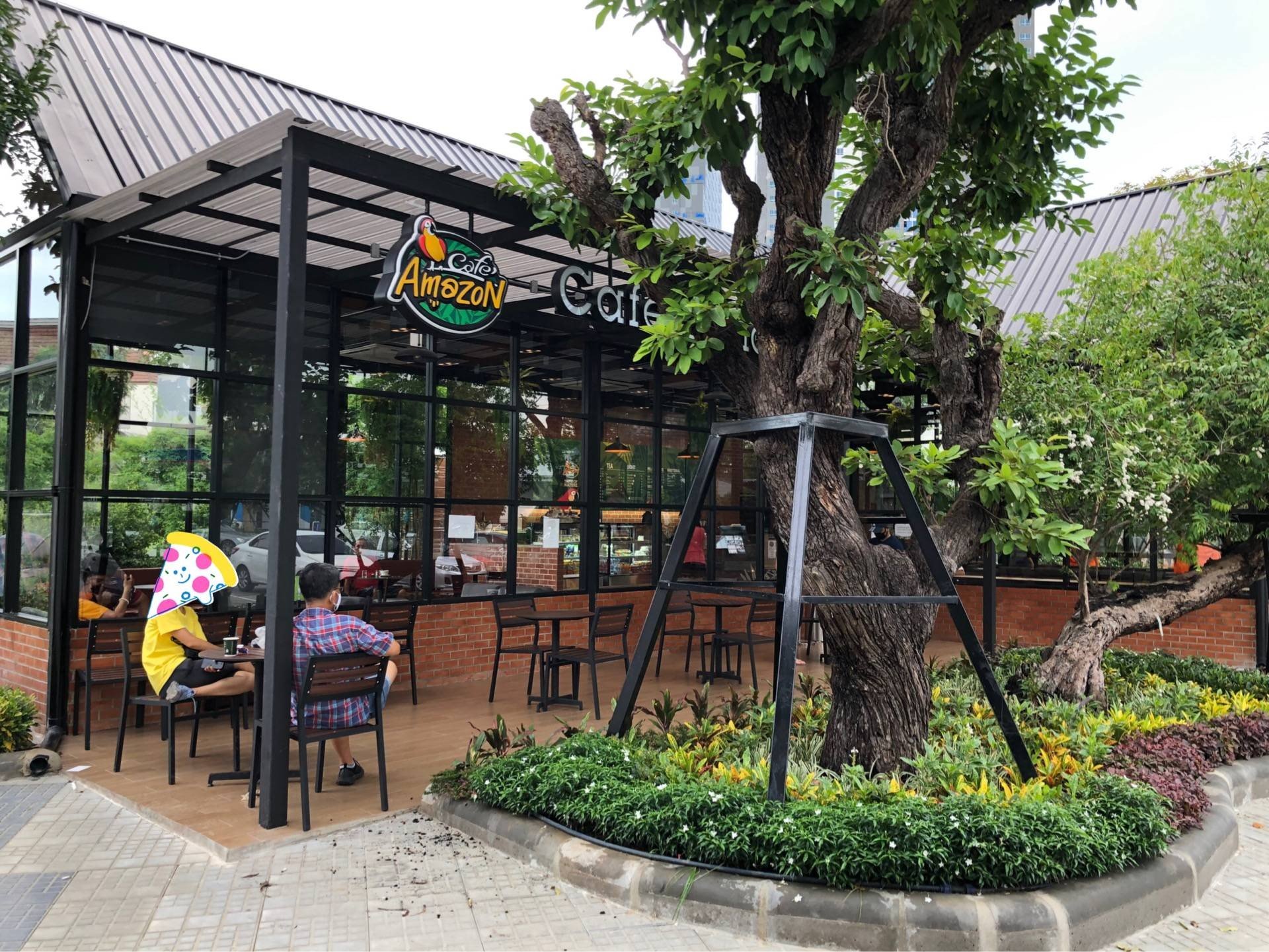 รป Café Amazon DD3381 สถานบรการ บจ ตนคดปโตรเลยม