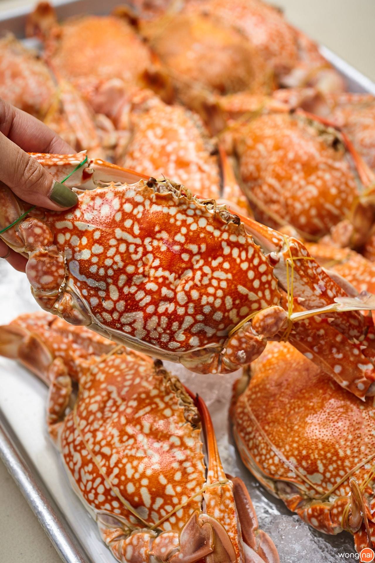 เมนู “ปูม้า” ของร้าน “นครสมุทรซีฟู้ด”