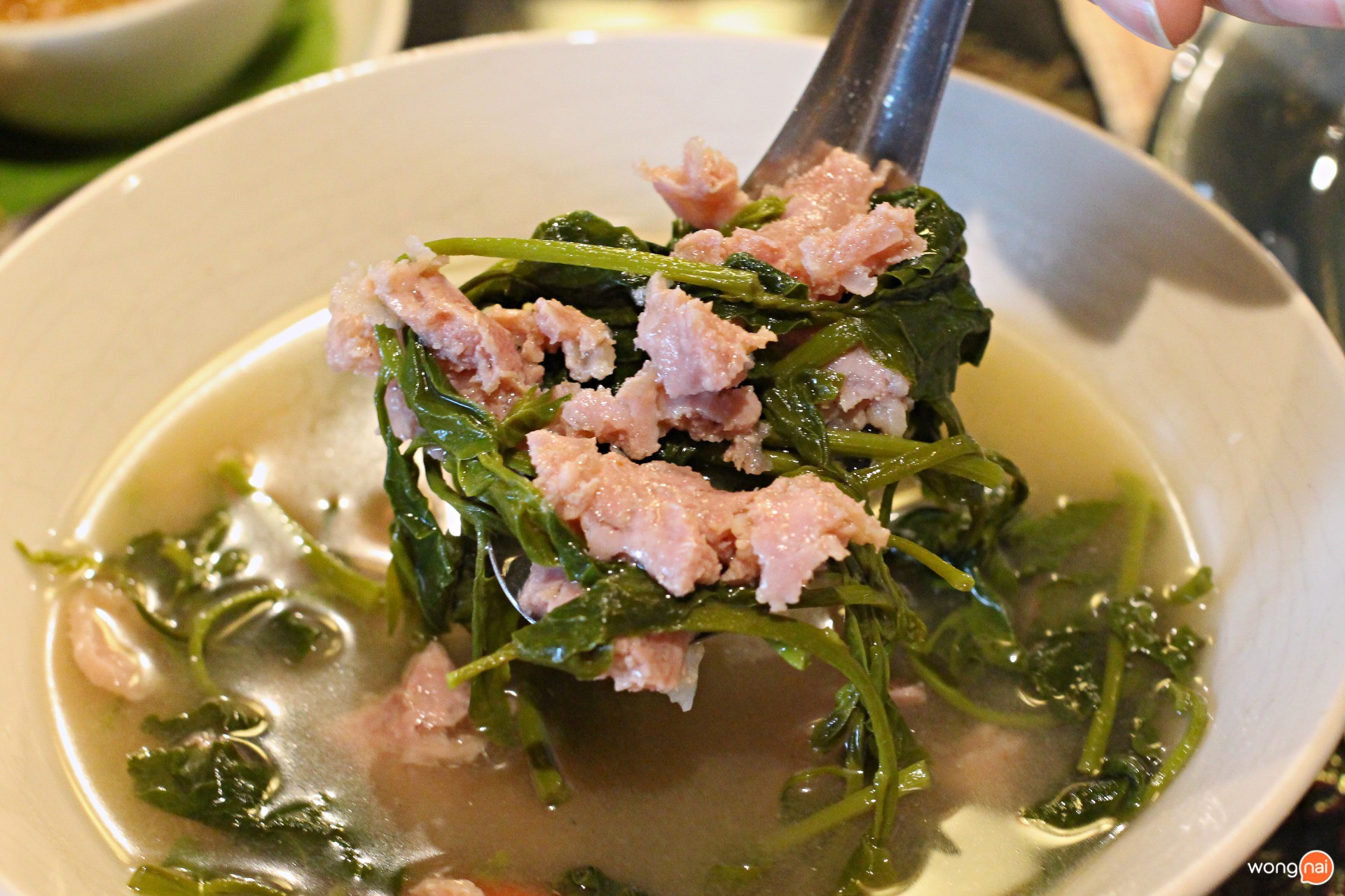 เอื้องคำสาย