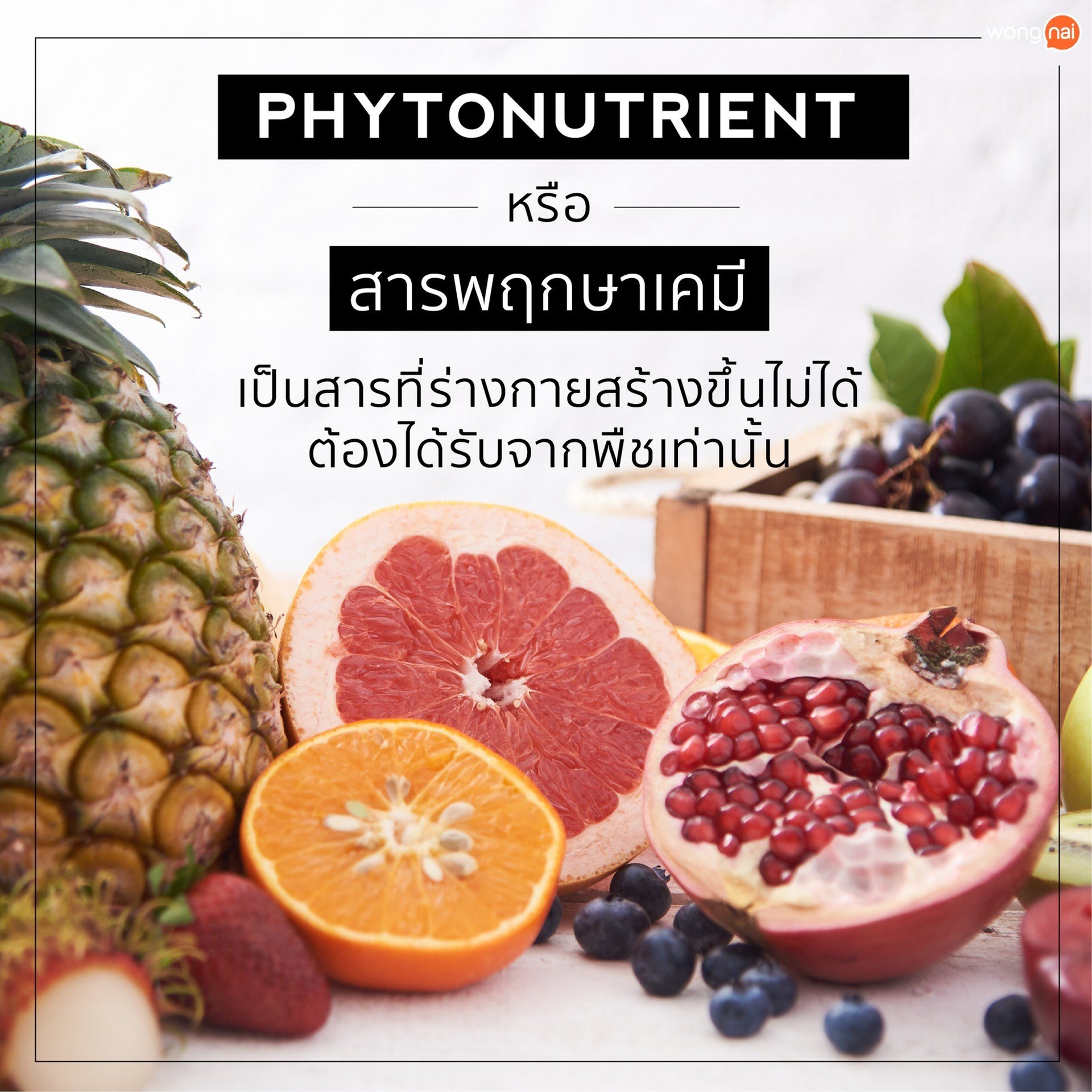 ไฟโตนิวเทรียนต์