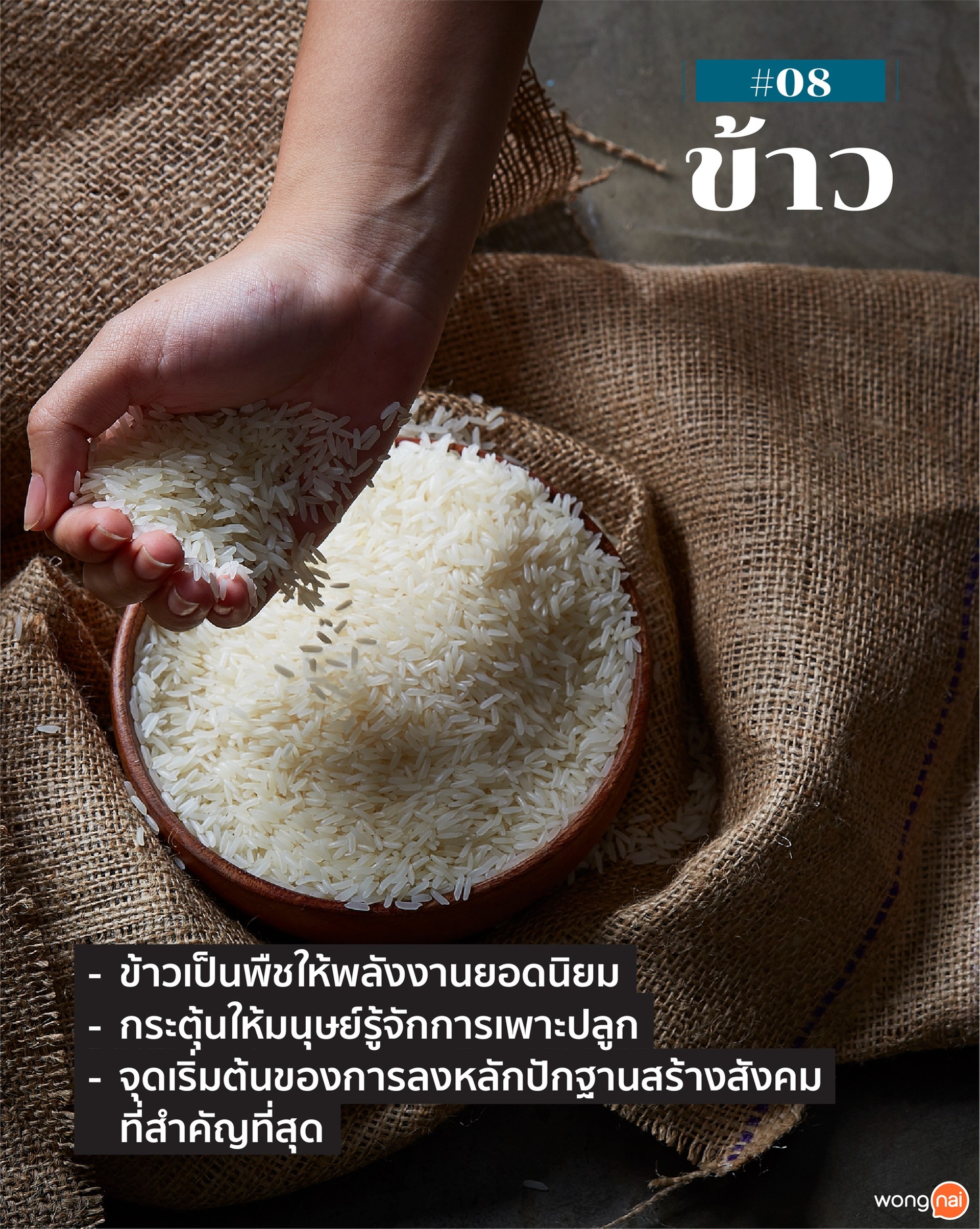 10 อาหารสร้างอารยธรรม