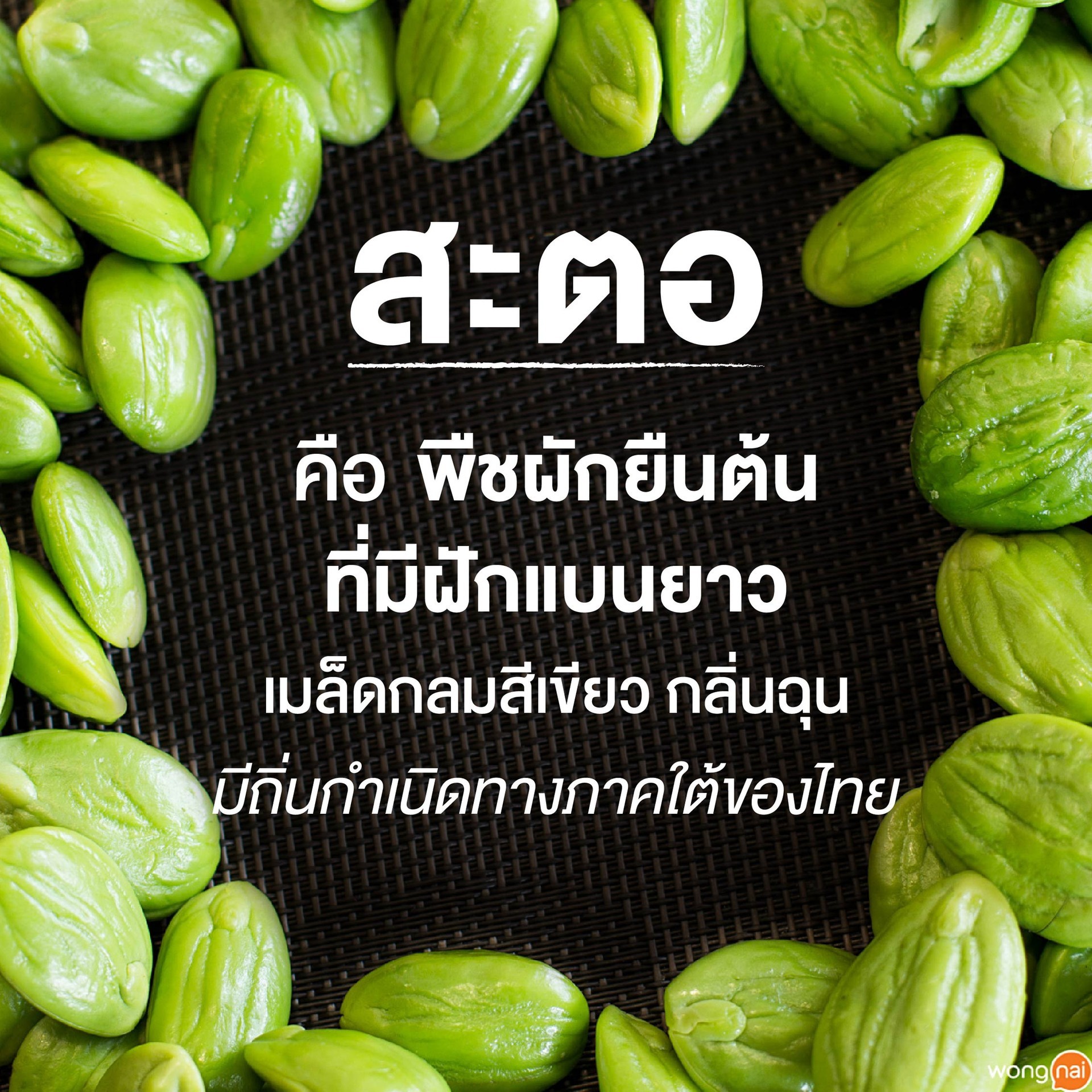 สะตอ คืออะไร
