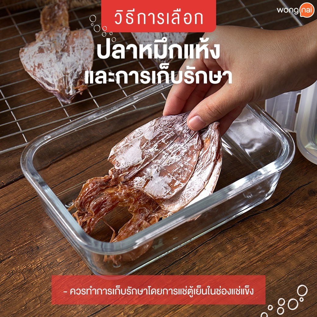 กินหมึกต้องรู้! รู้ลึกเรื่องปลาหมึกแห้ง ม้วนเดียวจบ!