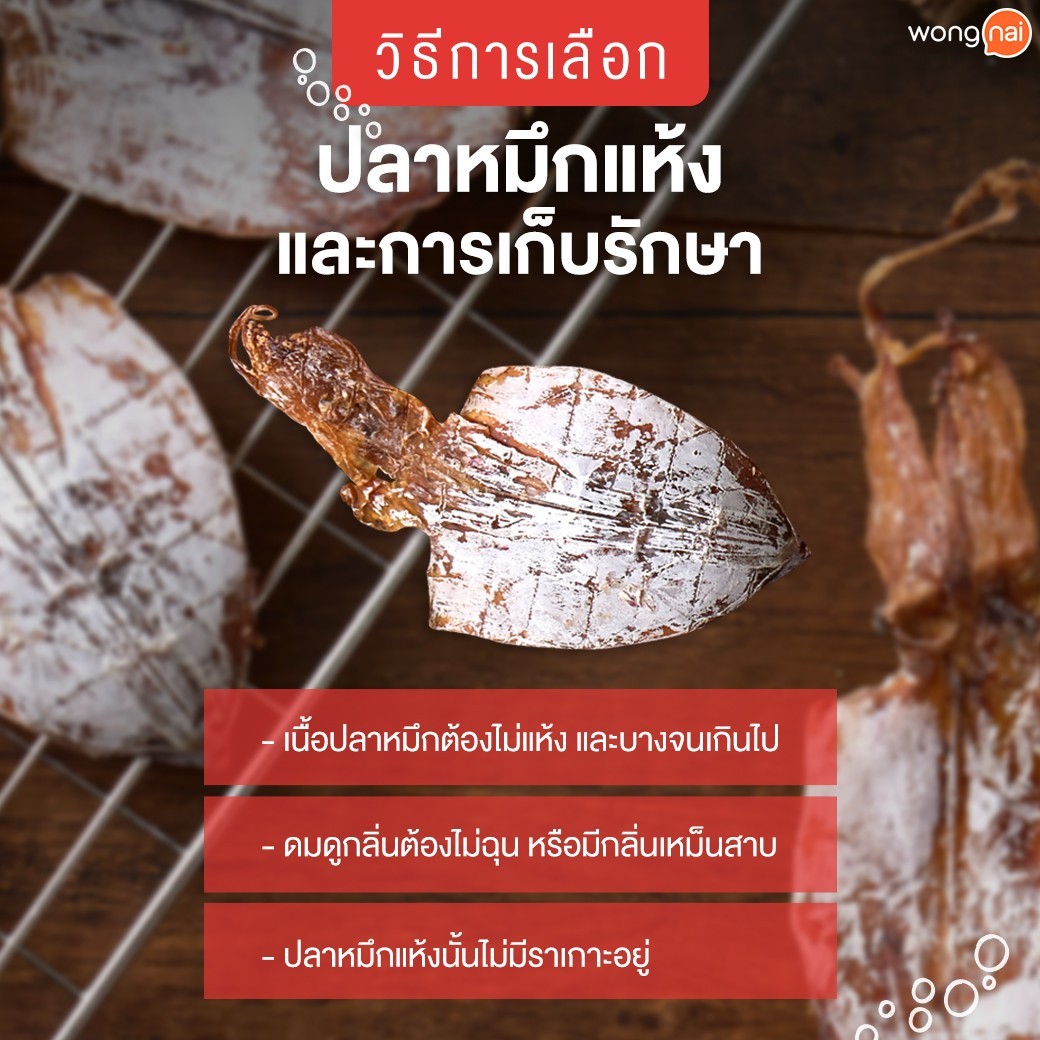กินหมึกต้องรู้! รู้ลึกเรื่องปลาหมึกแห้ง ม้วนเดียวจบ!