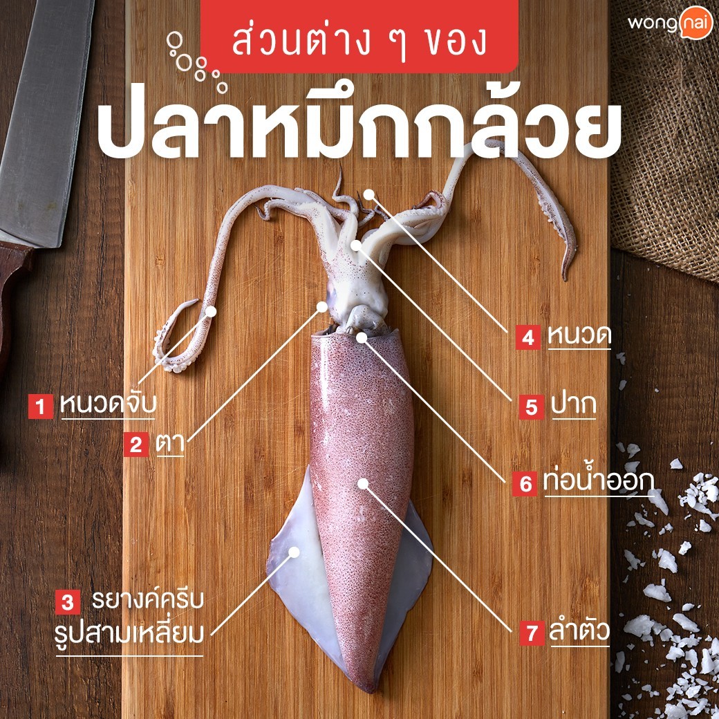 ส่วนต่าง ๆ ของปลาหมึกกล้วย