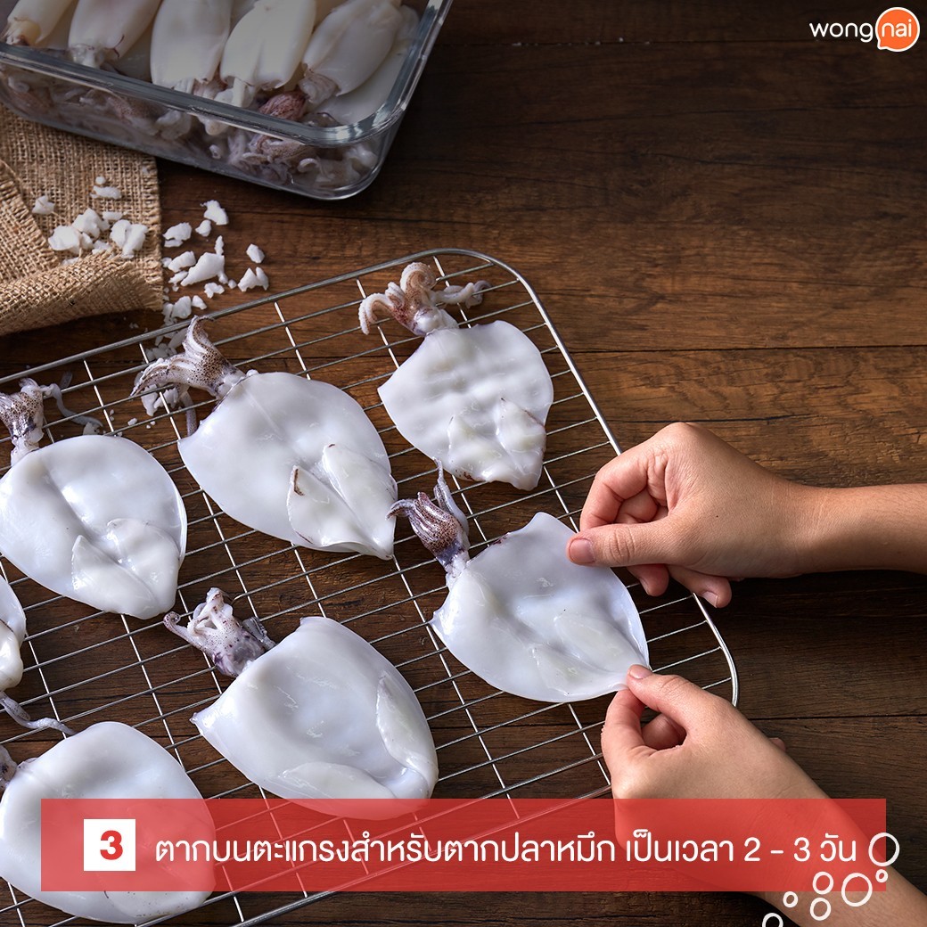 กินหมึกต้องรู้! รู้ลึกเรื่องปลาหมึกแห้ง ม้วนเดียวจบ!