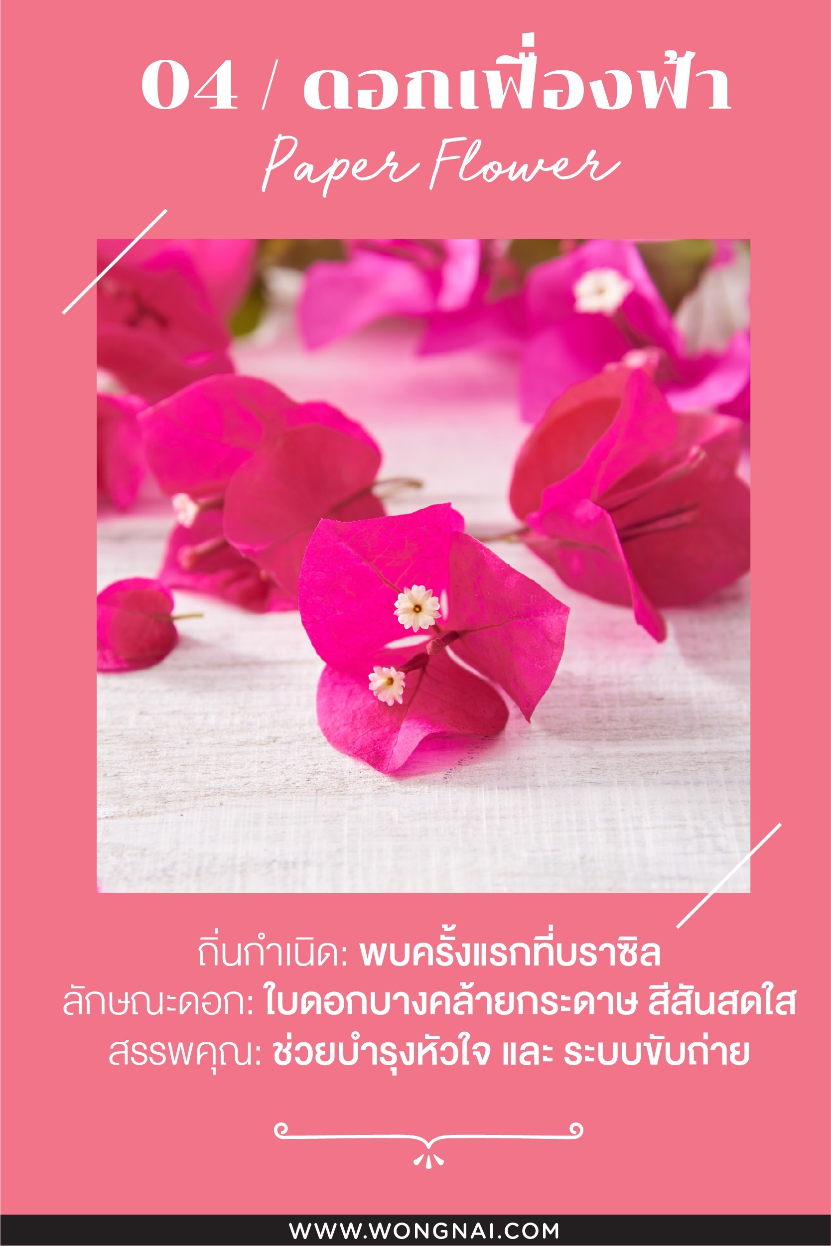 ประโยชน์ของดอกเฟื่องฟ้า