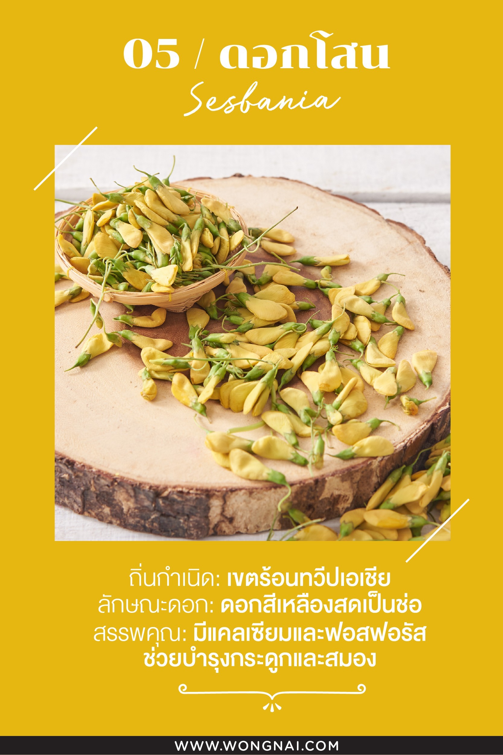 ประโยชน์ของดอกโสน