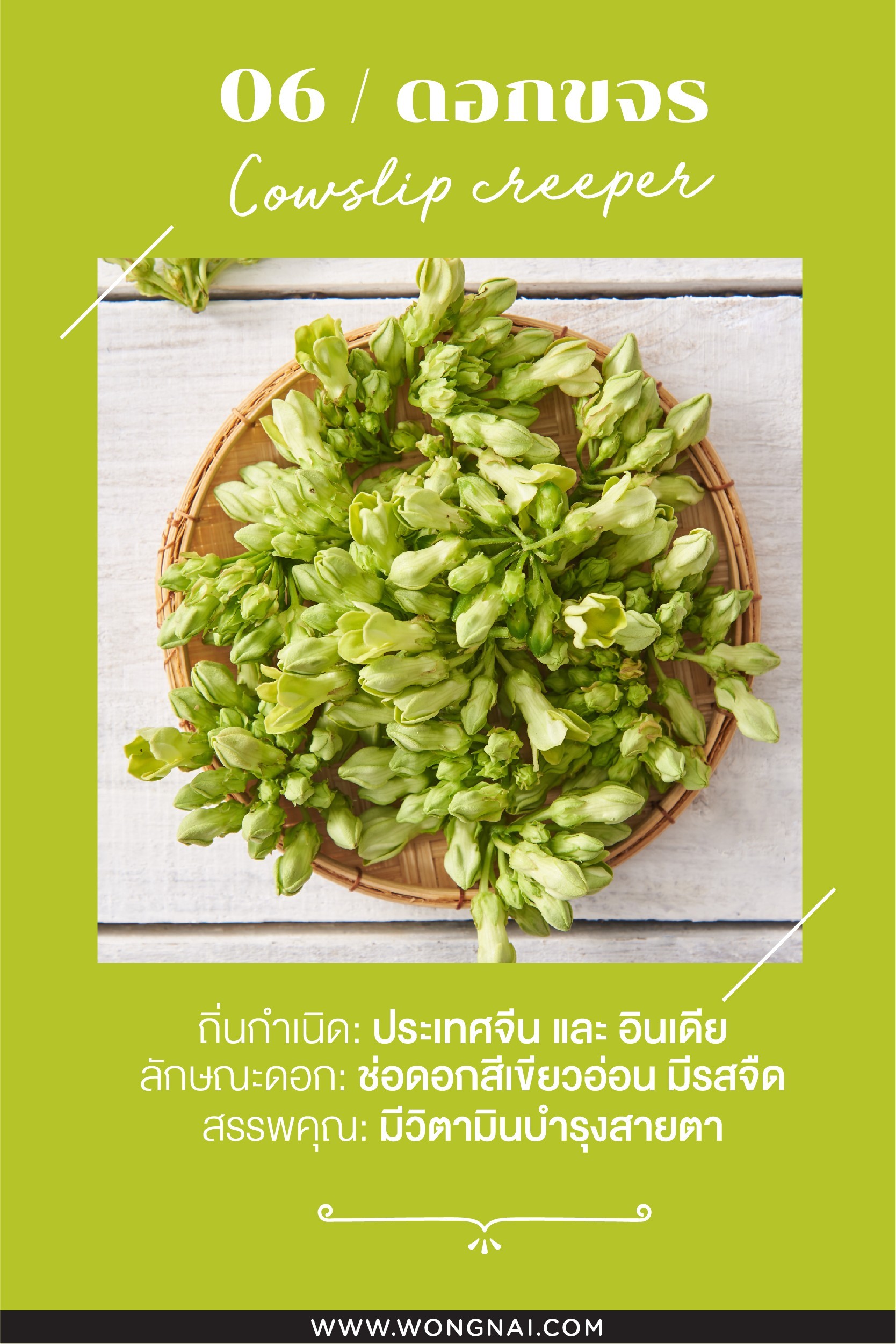 ประโยชน์ของดอกขจร