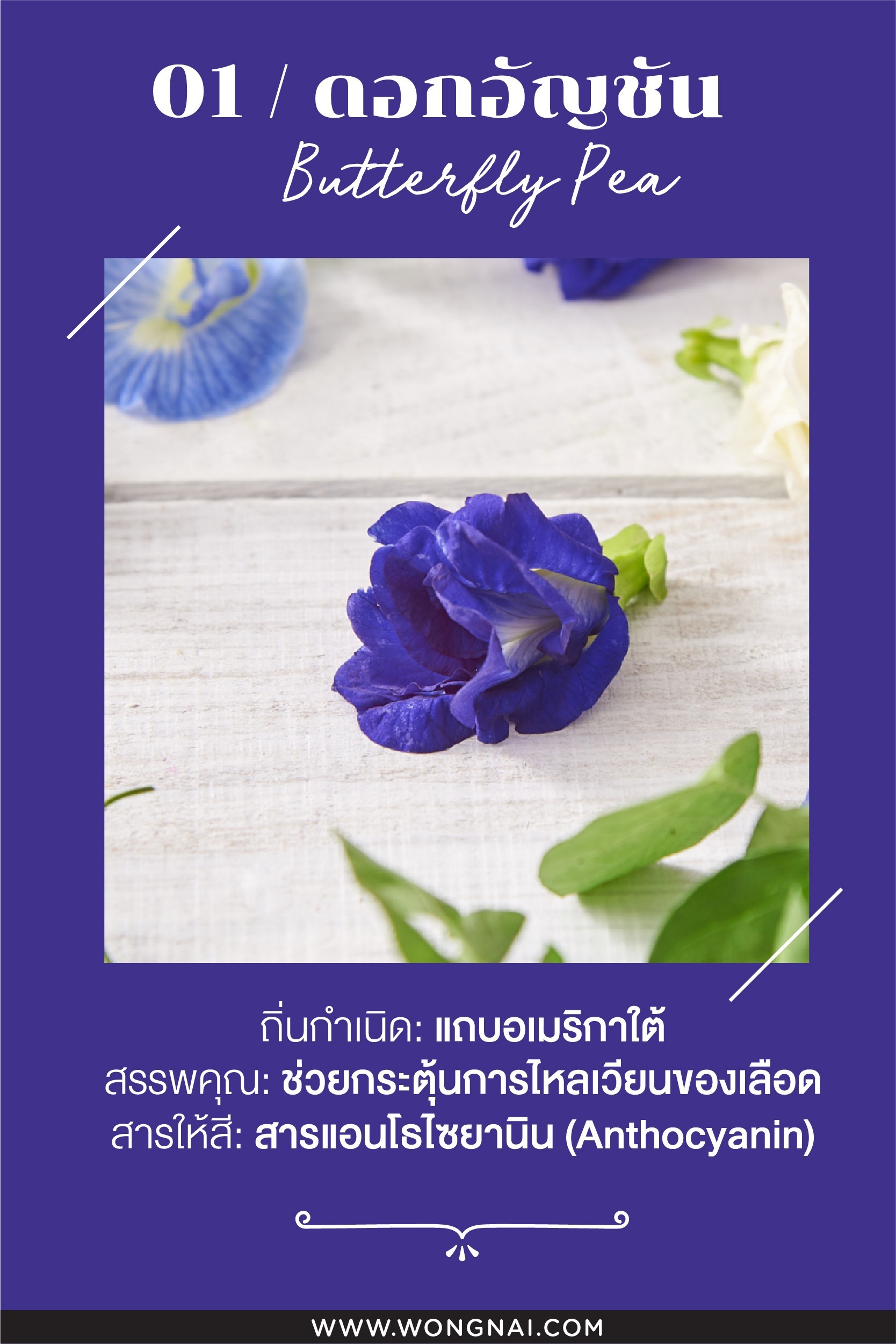 ประโยชน์ของอัญชัน
