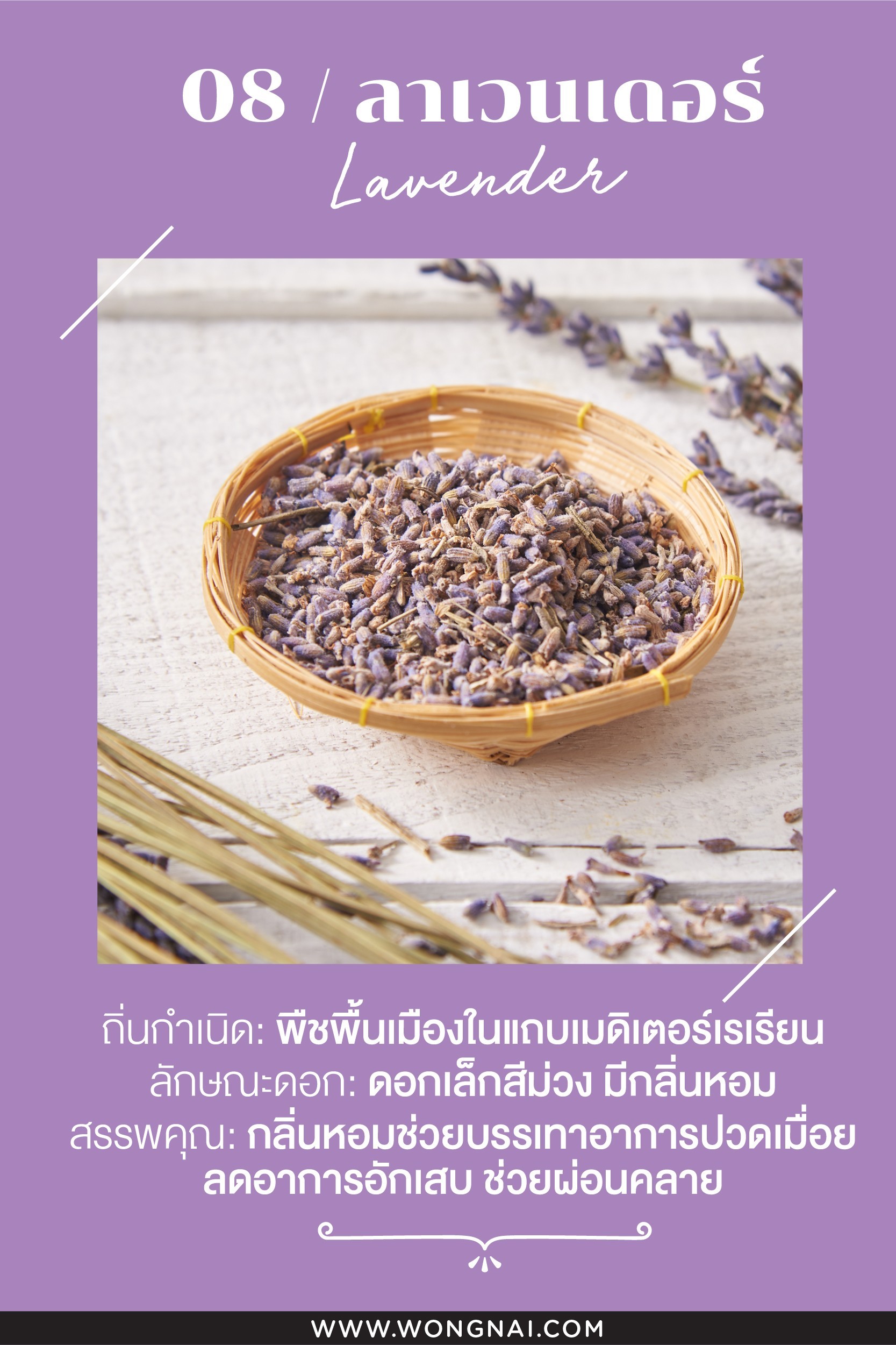 ประโยชน์ของลาเวนเดอร์อบแห้ง