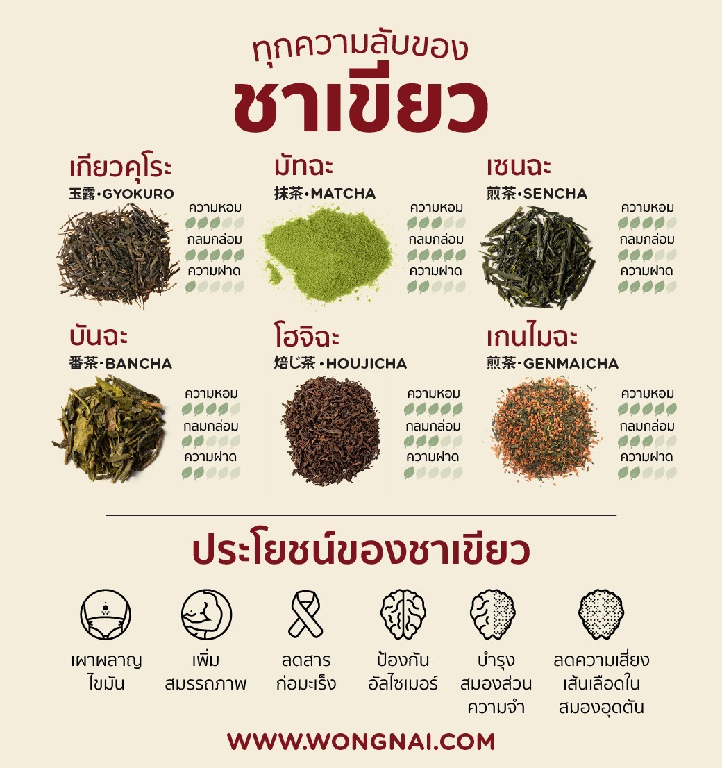 ทุกความลับของชาเขียว