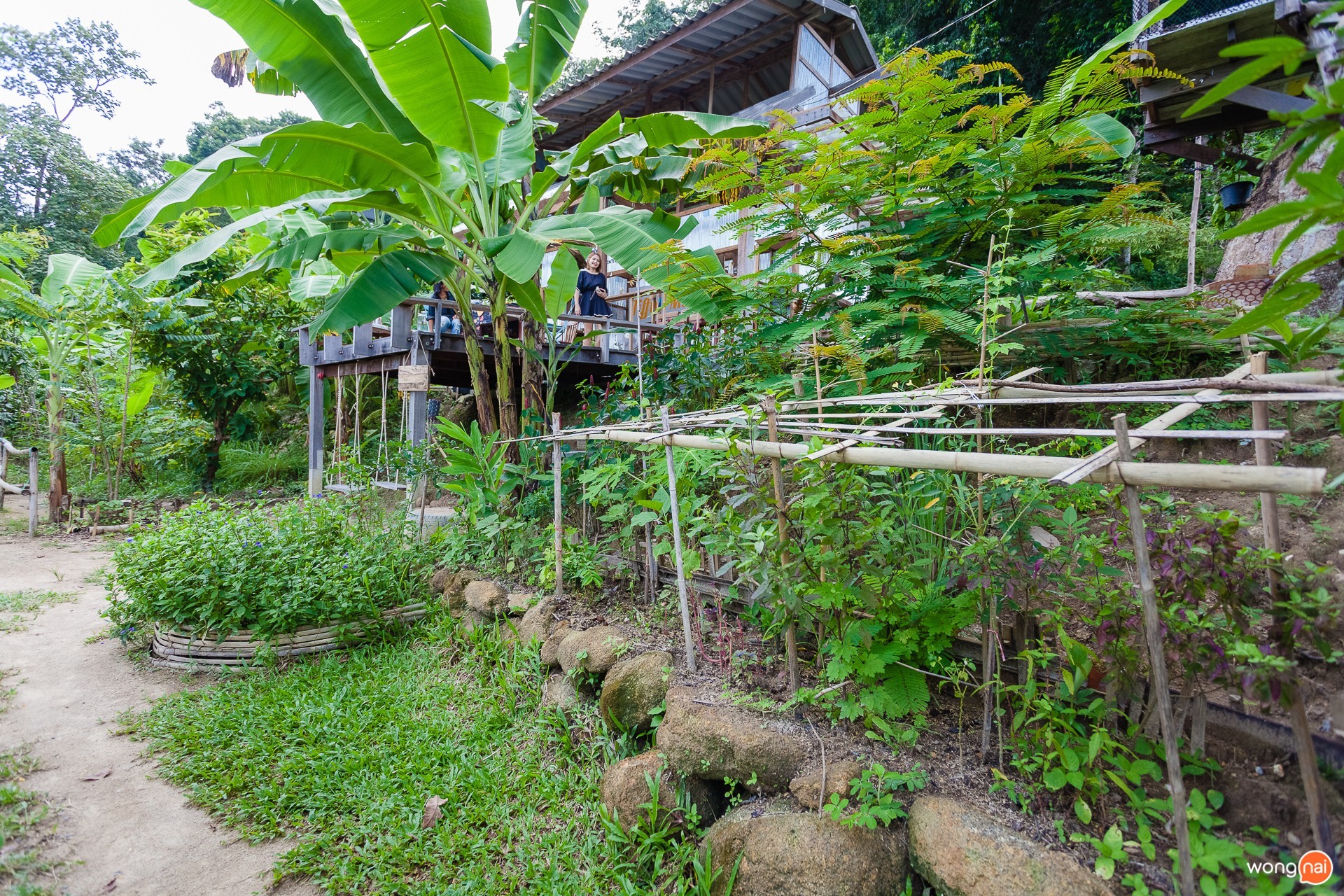 “Phuket Food Forest” สวนบ้านใบไม้ ภูเก็ต