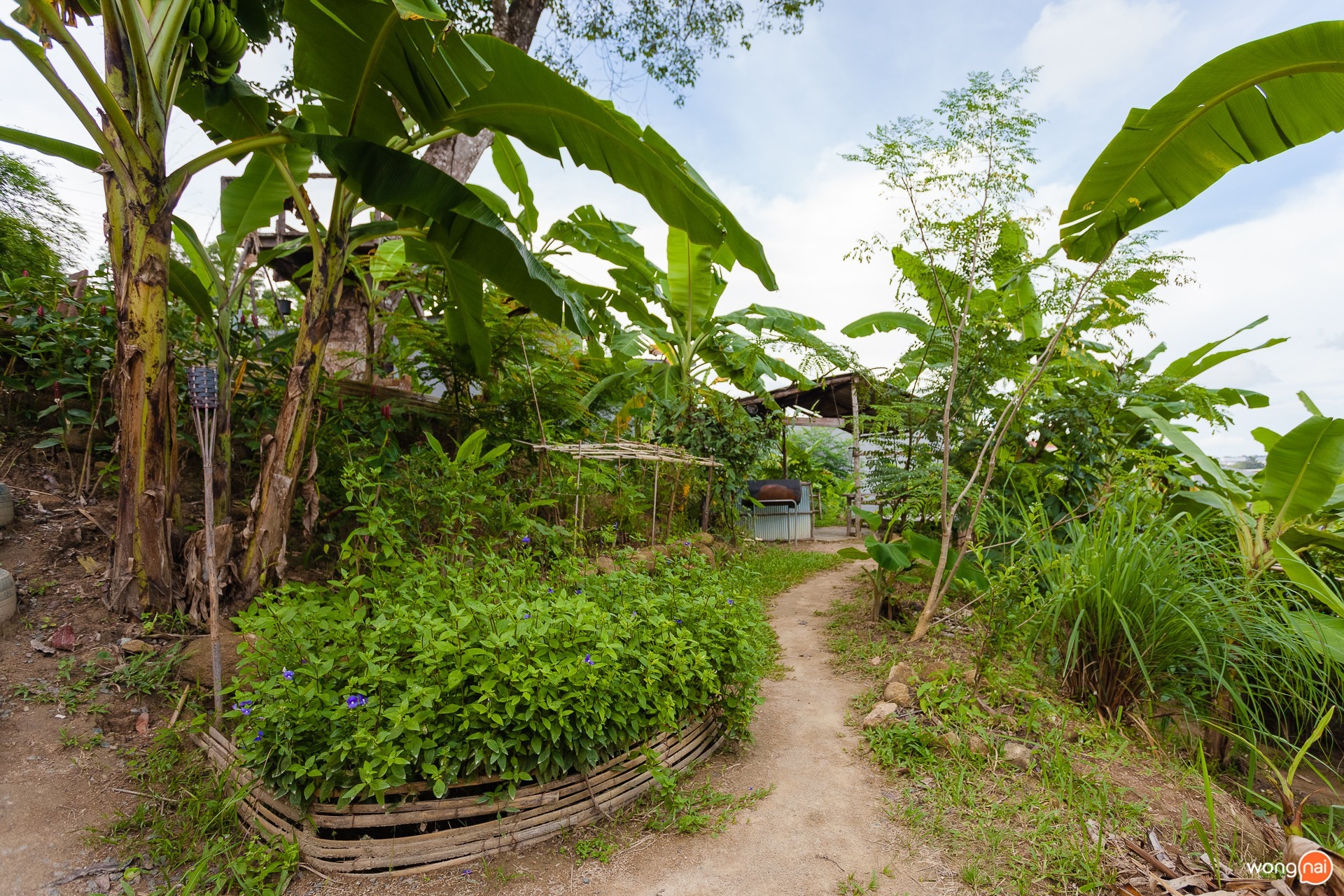 “Phuket Food Forest” สวนบ้านใบไม้ ภูเก็ต