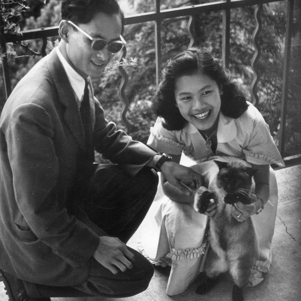ในหลวง,รัชกาลที่ ๙, พ่อหลวง