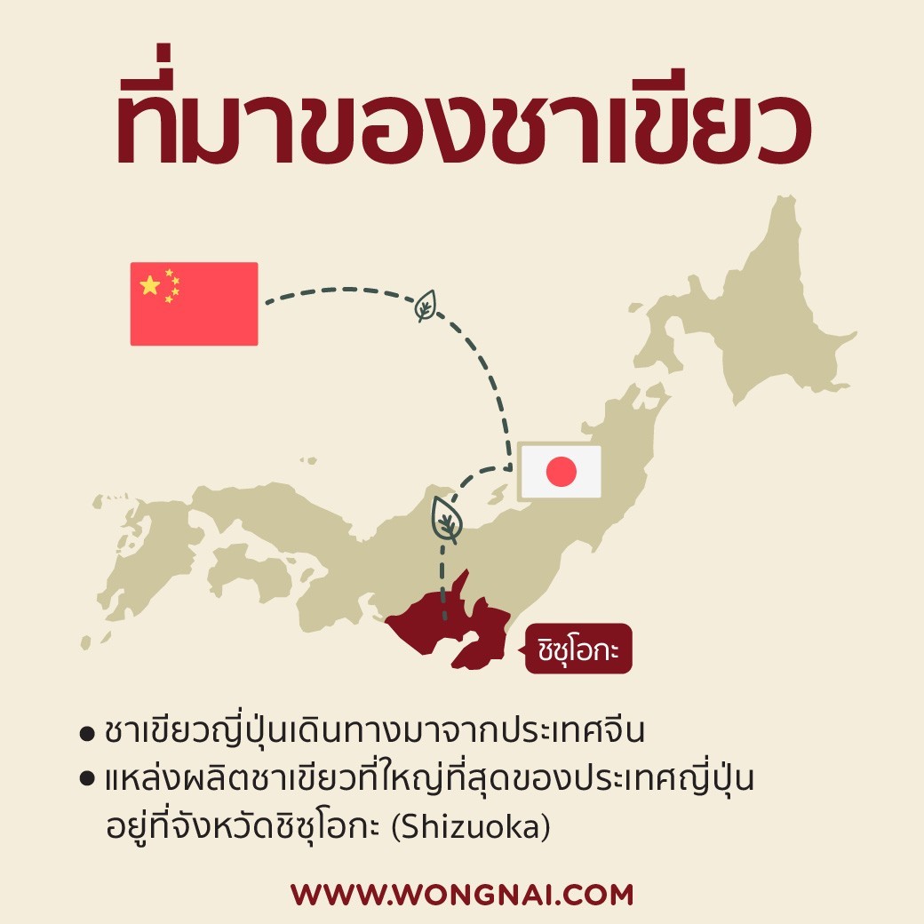 ที่มาของชาเขียว