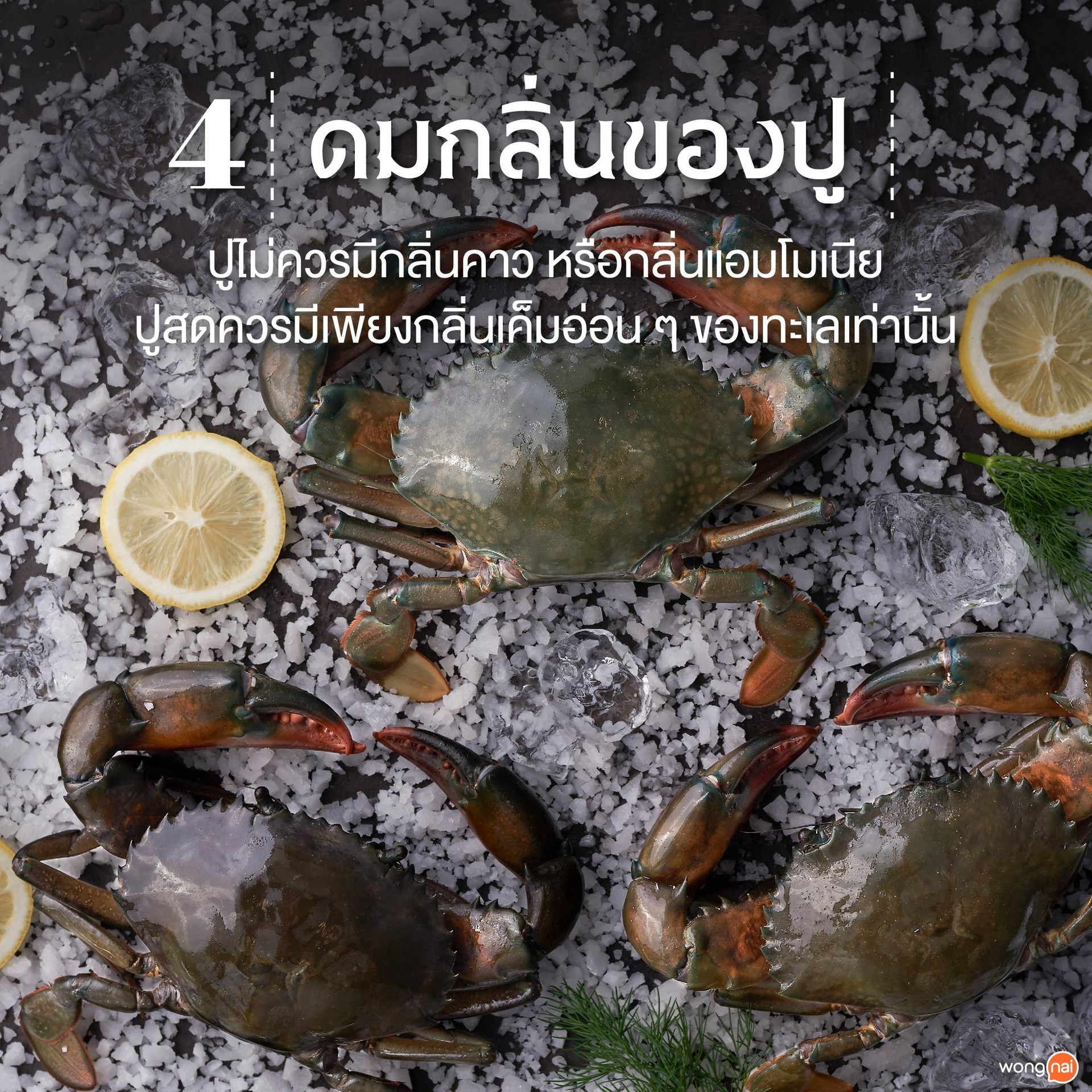 ปูต้องไม่มีกลิ่นคาว!
