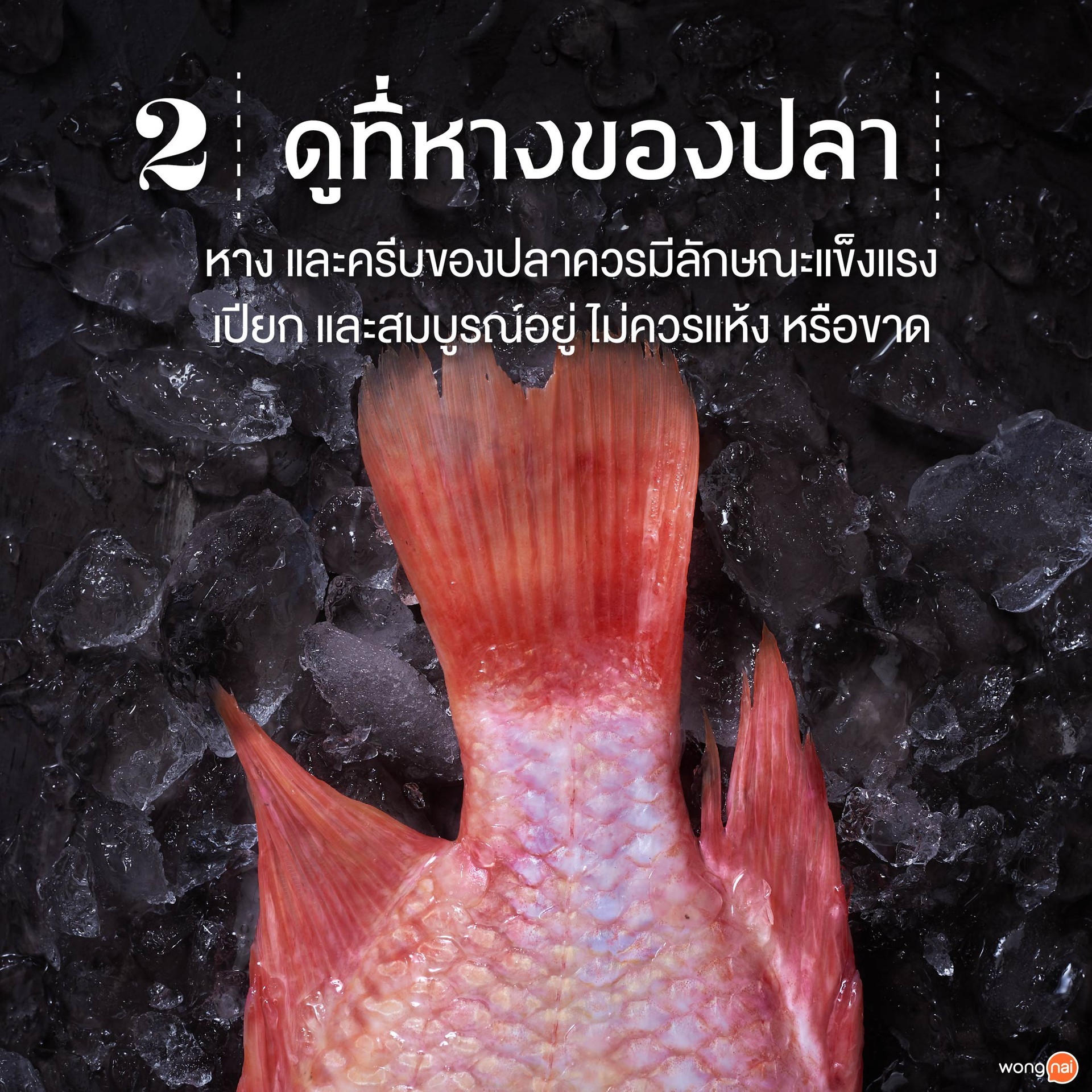 ดูที่หางของปลา