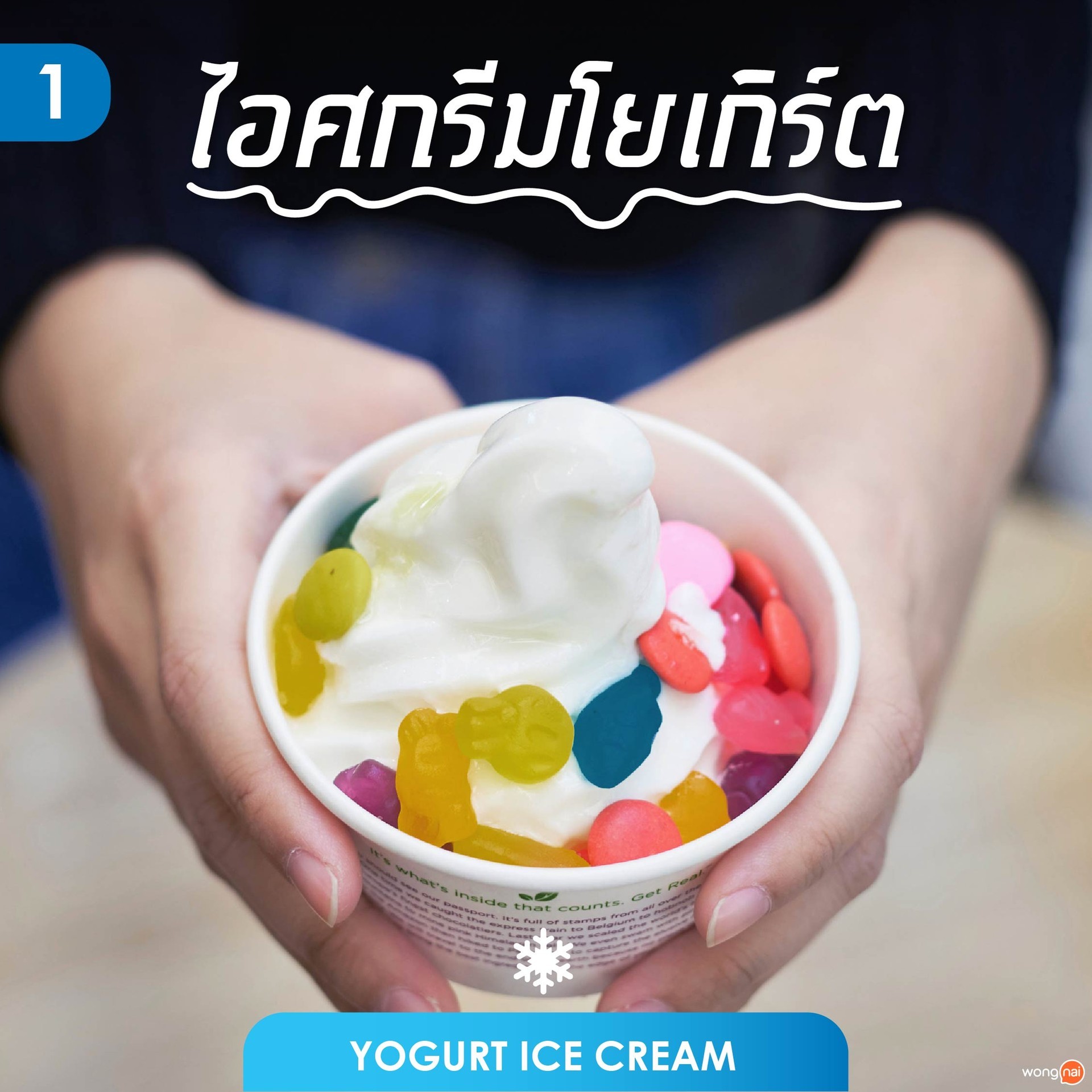ไอศกรีมโยเกิร์ต (Yogurt Ice Cream)