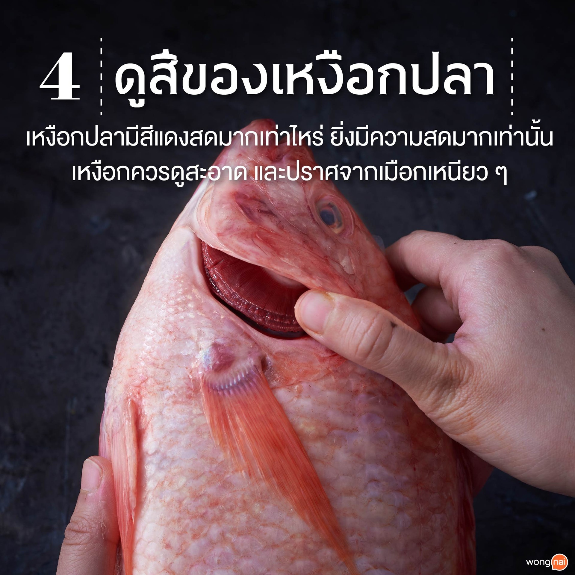 ดูที่สีของเหงือกปลา