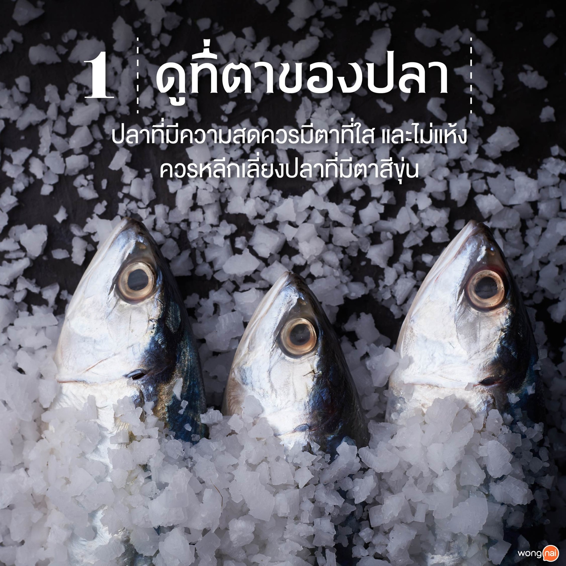 ดูที่ตาใส ๆ ของปลา