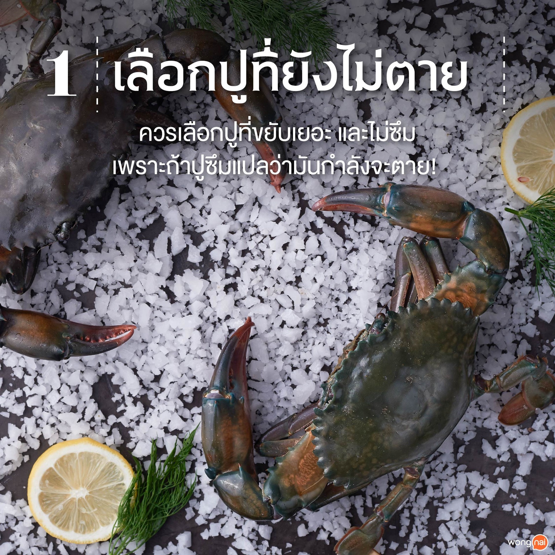 เลือกปูที่ยังไม่ตาย