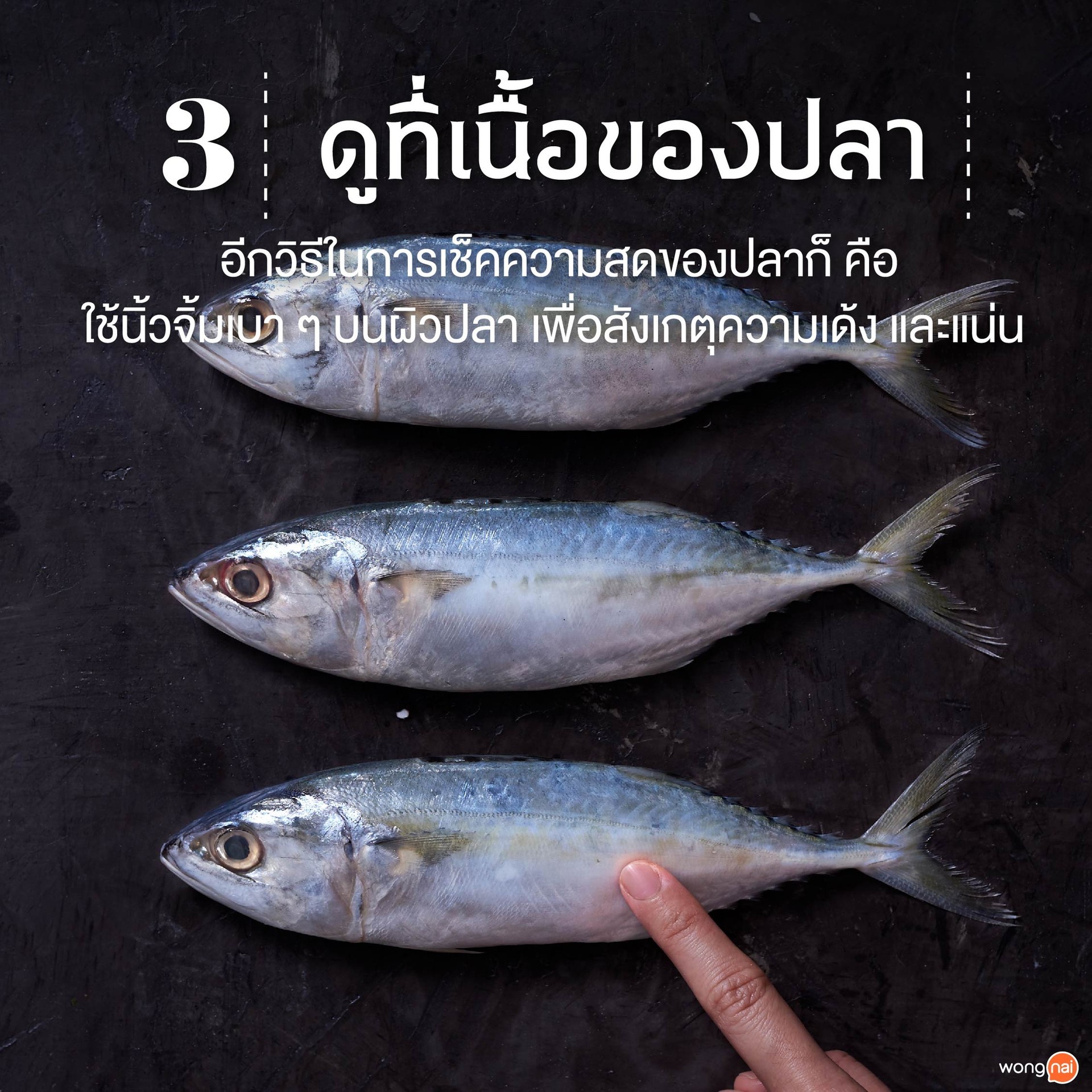 ดูที่เนื้อของปลา
