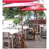 รูปจากเวป
