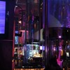 Hard Rock café ภูเก็ต