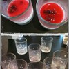 บานอฟฟี่ จัดหนัก คนเดียว 8 ถ้วย ชอบบบบ >..<