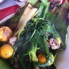 หมกไข่อ่อนอร่อยมากๆ หอมตองไหม้
