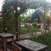 บรรยากาศร่มรื่น