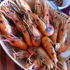 กุ้งเผา