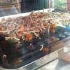 เนื้อไก่ฉีก