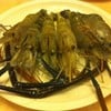 กุ้งตัวโต