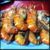 กุ้งเผาขนาด กก.ละ 350.-