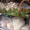 ลุกชิ้นปลาทำเอง
