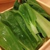 ผักกวางตุ้ง