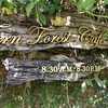 Fern Forest Cafe