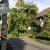 Fern Forest Cafe