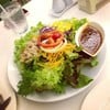 Tuna Salad