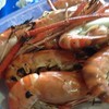 กุ้งเผา