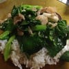 คะน้าน้ำมันหอยรวมมิตร ราดข้าว อร่อยสุดๆ