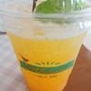 Passion Fruit Soda