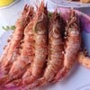 กุ้งเผาโลละ 500 บาท