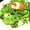 Fried Egg Salad