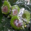 ข้าวต้มคลุกไส้กล้วย