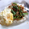 ผัดพริกแกงเป็ดไข่ดาว 60 บาท
