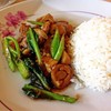 เนื้อน้ำมันหอย !!